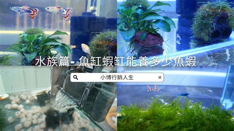 魚缸大小計算